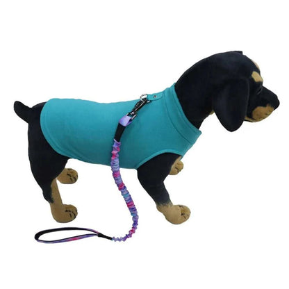 Nice pet clothes [[product_type]] Éditions Traditions & Modernité Inc. 187205366;20260710;1783704775USTDf