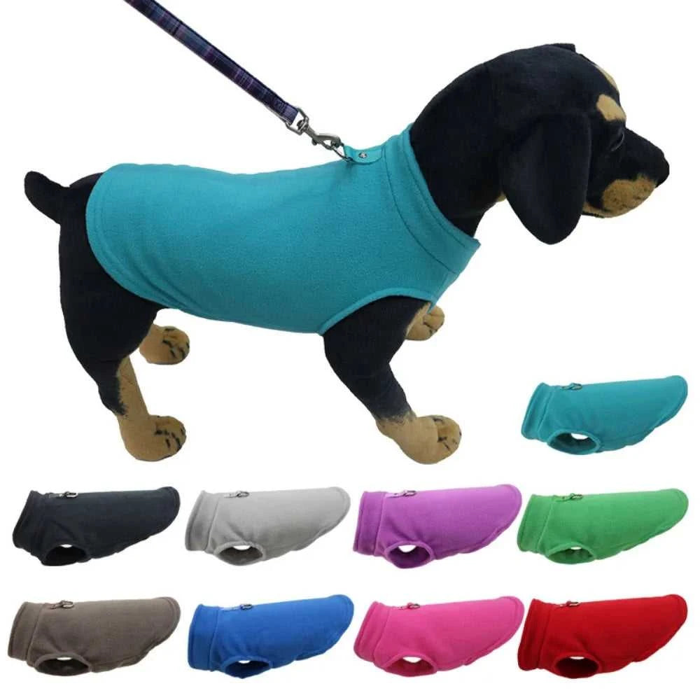 Nice pet clothes [[product_type]] Éditions Traditions & Modernité Inc. 187205366;20260710;1783704775USTDf